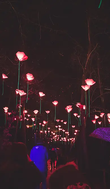 Expériences immersives
texte