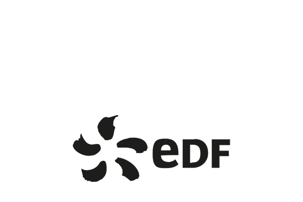 edf-1.webp